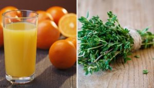 Zes onbekende natuurlijke antibiotica