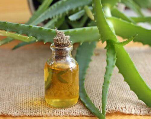 Gedefinieerde krullen met arganolie en aloe vera