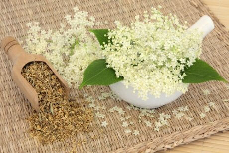 Moerasspirea helpt de bloedsomloop verbeteren