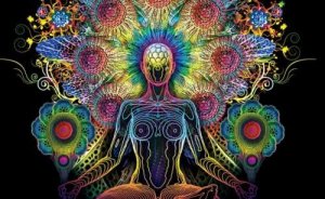 De pijnappelklier: regulator van je cycli en je derde oog