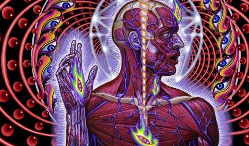 De pijnappelklier het derde oog