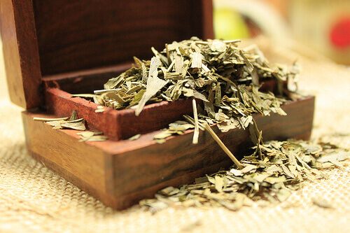 Spierkrampen voorkomen met ginko biloba