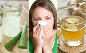 Vijf natuurlijke middelen tegen allergische rhinitis