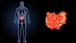 Wat is een liesbreuk en hoe kan dit worden behandeld?