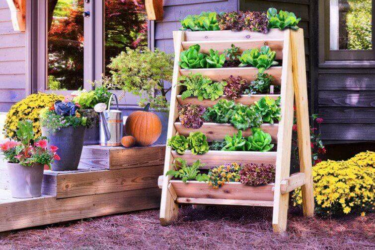 Mooie tuin met allemaal plantjes erin