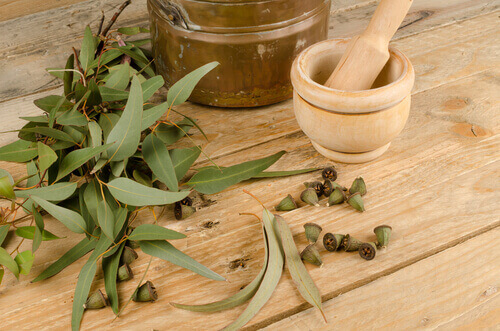 Allergiemiddelen eucalyptus water