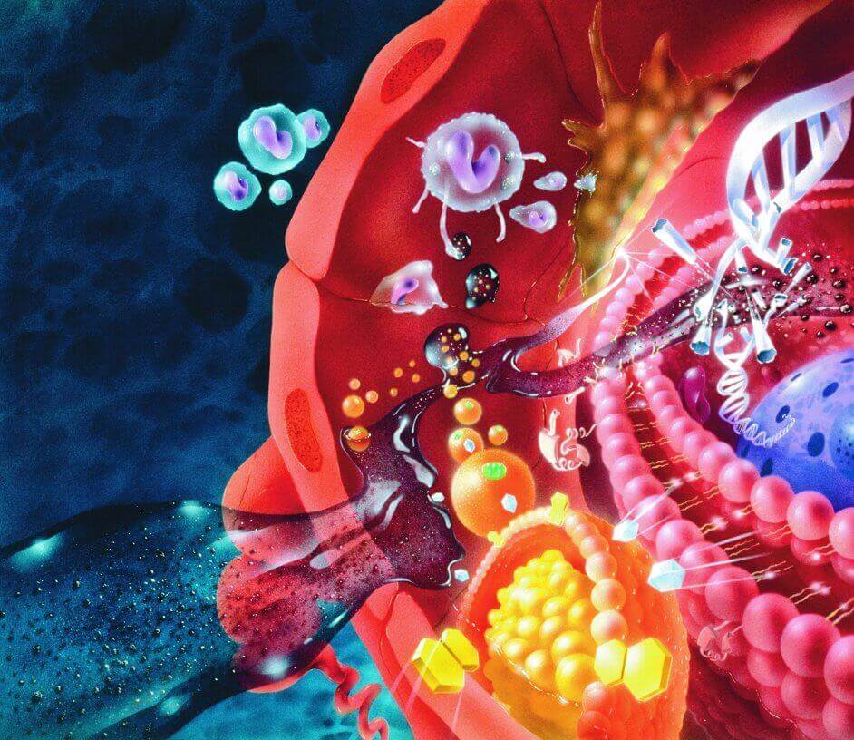 Aubergines bestrijden vrije radicalen