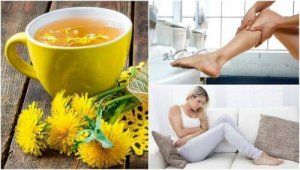 Ontdek de ongelooflijke en natuurlijke positieve eigenschappen van paardenbloem!