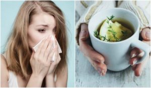 Hoest verzachten met een thee van tijm, citroen en honing