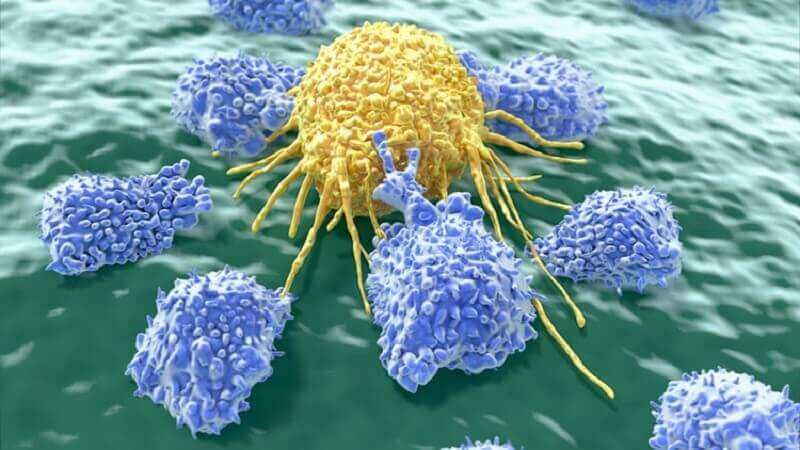 Kankercellen die witte ontlasting kunnen veroorzaken