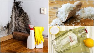 Vochtigheid in huis: 5 manieren om het tegen te gaan