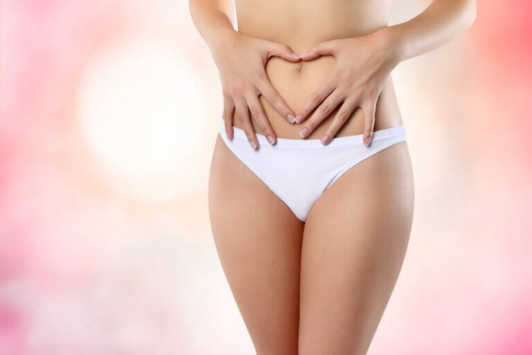 De intieme delen de perfecte vulva