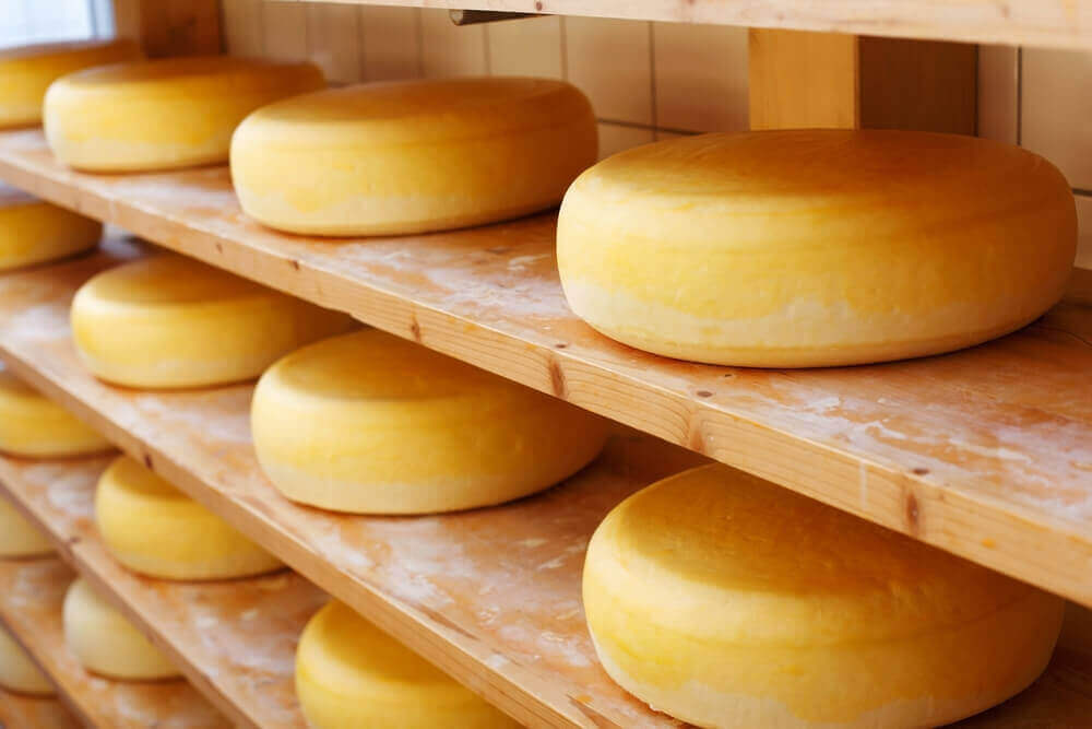Cheddar