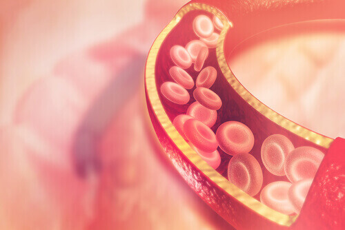 Cholesterol reguleren met behulp van omega 3-vetzuren