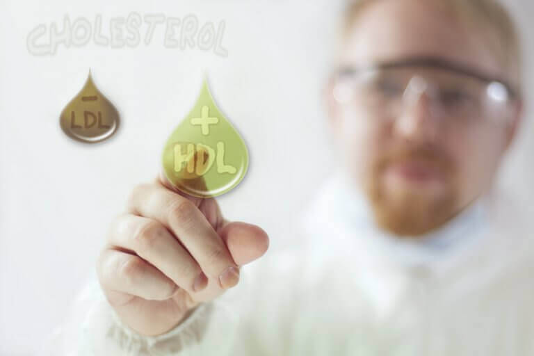 Slecht en goed cholesterol