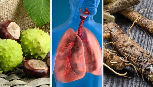 Versterk je longen en adem beter met deze zelfgemaakte remedies!