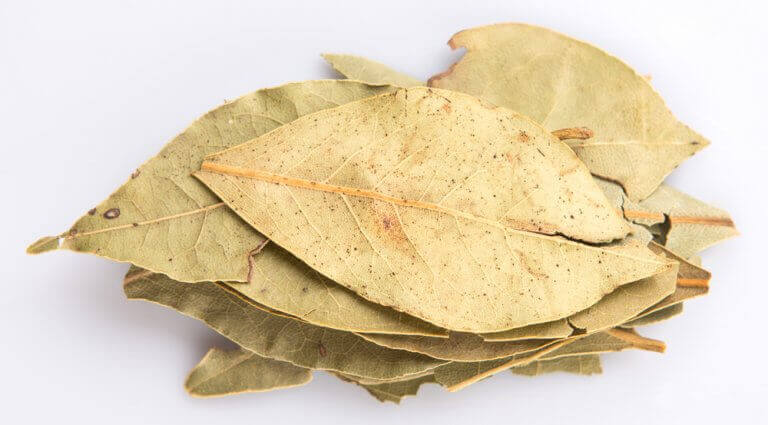 Versterk je longen en adem beter