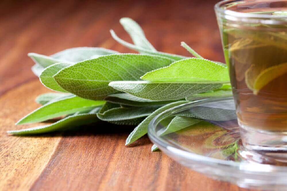 Infusie met salie