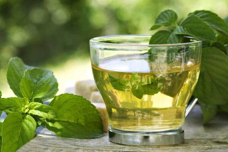 Gewicht verliezen met groene thee en munt