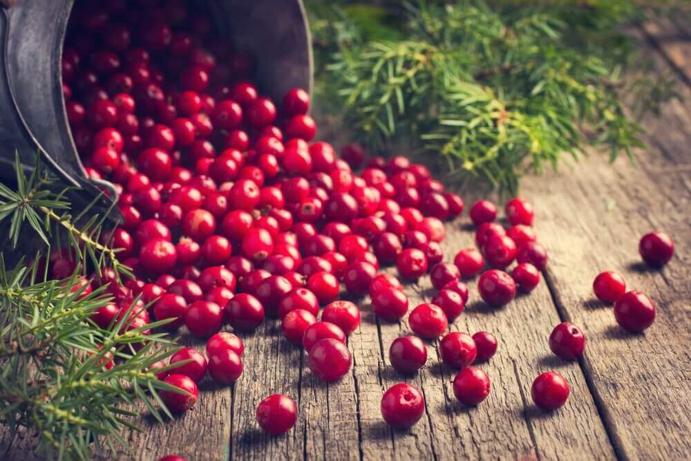 De gezondheid van de schildklier beschermen met cranberries