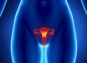 Hoe gebeurt de opsporing van eierstokkanker?