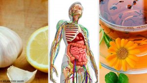 Ontgiften van het lymfatisch systeem met 6 natuurlijke remedies