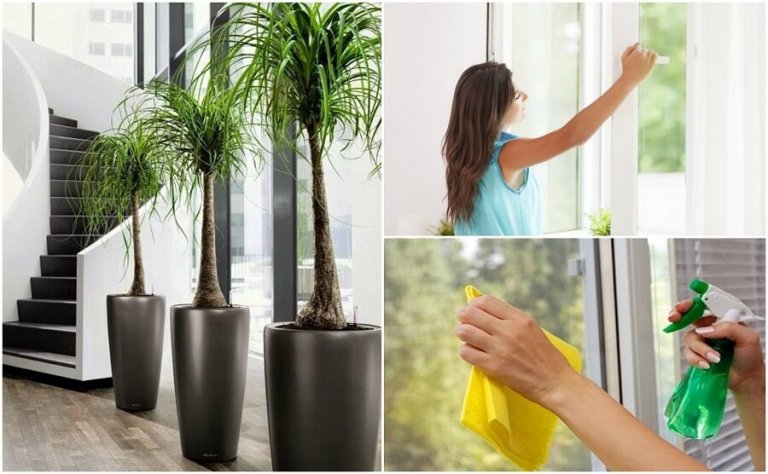 6 dingen die je kunt doen om de luchtkwaliteit in je huis te verbeteren