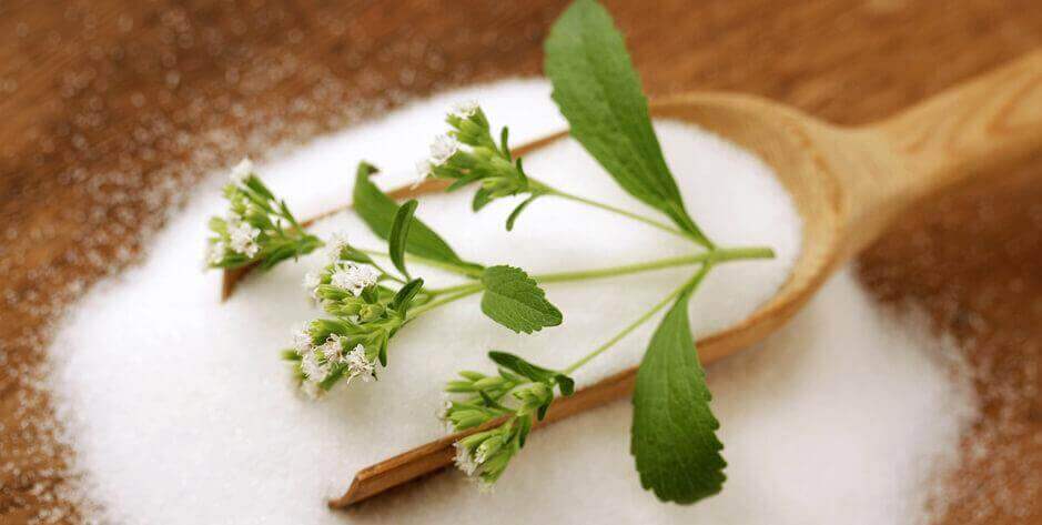 Stevia, een natuurlijke behandeling van diabetes