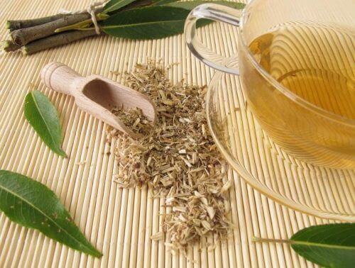 De 6 beste natuurlijke remedies voor artritispijn: witte wilgenthee