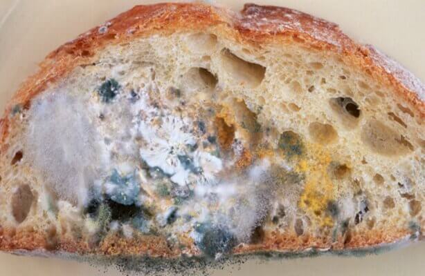 Beschimmeld brood
