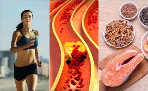Hou je cholesterol onder controle: 6 natuurlijke tips