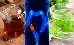 5 geneeskrachtige infusies om natuurlijk de dikke darm te reinigen