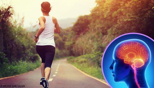 Stoppen met sporten verandert je hersenen
