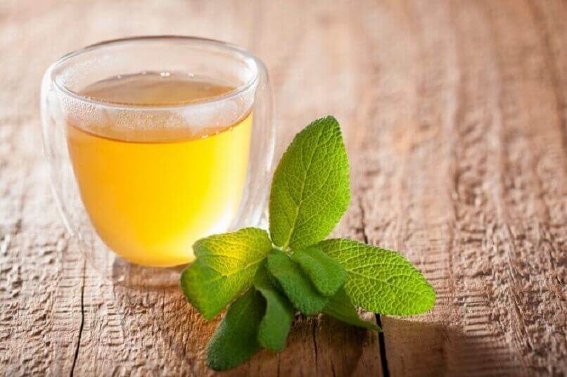 Salie infusie