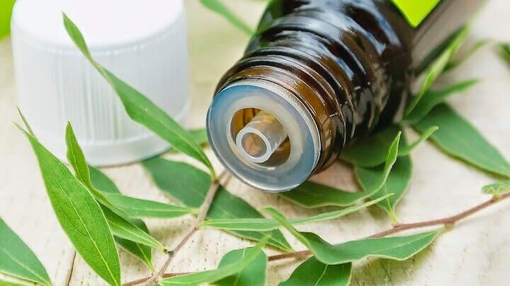 Tea tree olie is een van de natuurlijke middelen tegen aften