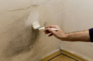 Hoe stel je overmatige vochtigheid in je huis vast?