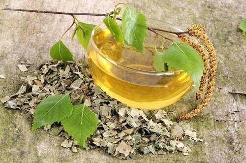 Kopje thee met berken blaadjes