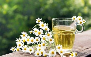 Natuurlijke en nuttige remedies met kamille