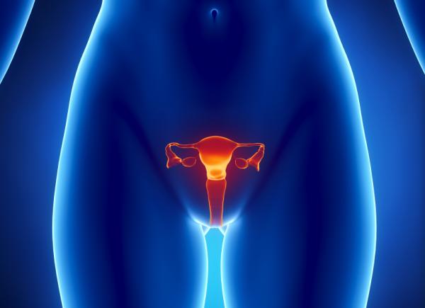 Menstruatie