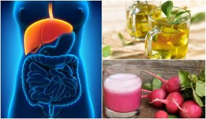 Ontdek een aantal natuurlijke behandelingen voor leververvetting