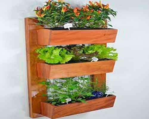 Plantenwand