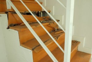 Van termieten afkomen: 4 effectieve methodes