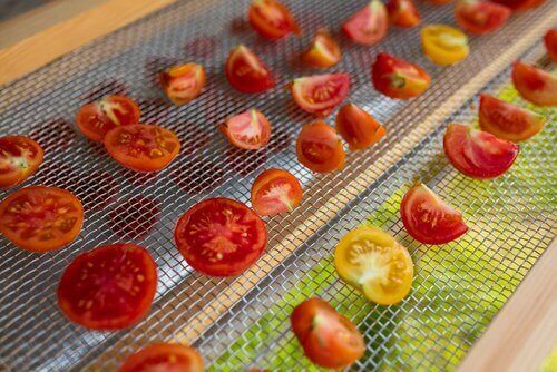 Tomaatjes die liggen te drogen in een zelfgemaakte zonnedroger