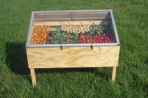 Maak zelf je eigen zonnedroger