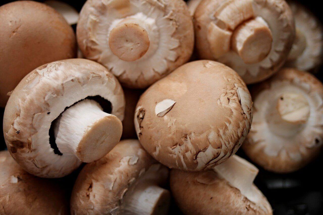 Heerlijke recepten met champignons in de koekenpan