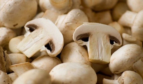 Heerlijke recepten met champignons uit Spanje