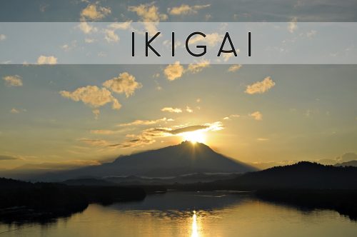 Ikigai: de reden van bestaan, het Japanse geheim van beter leven