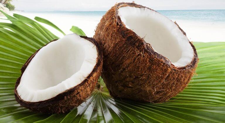 Kokosnoot op palmbladeren