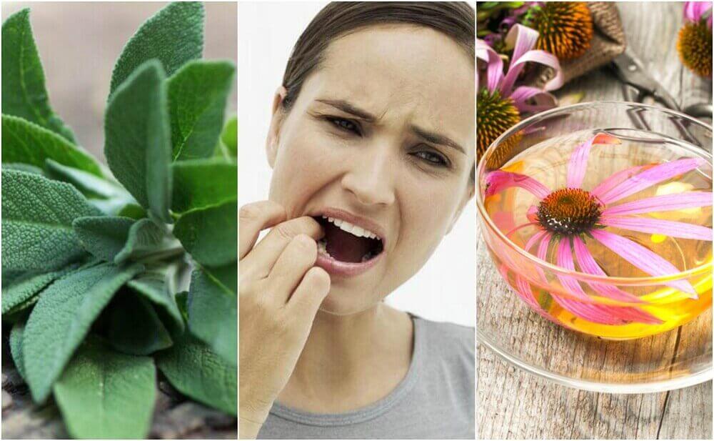 Bestrijd een tandvleesontsteking met deze 5 natuurlijke remedies