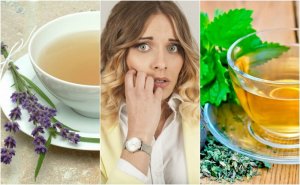 Je zenuwachtigheid bedaren met 5 remedies op basis van kruiden